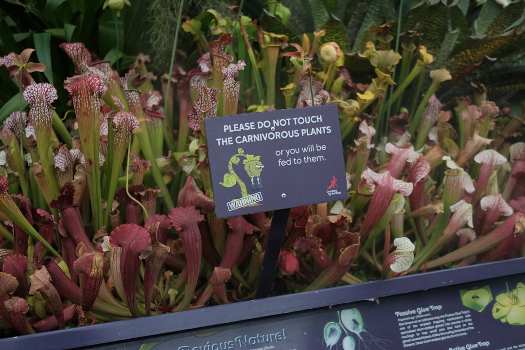 Discover Asia's Hidden Gems: Unforgettable Destinations Await!