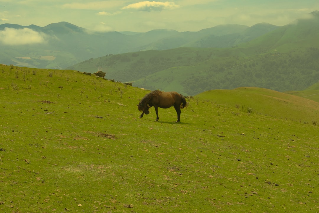 Discover Serenity: Top 7 Mountain Escapes for 2024