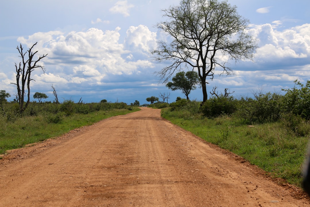 Revitalize Your Spirit: Holistic Wellness Road Trip Guide