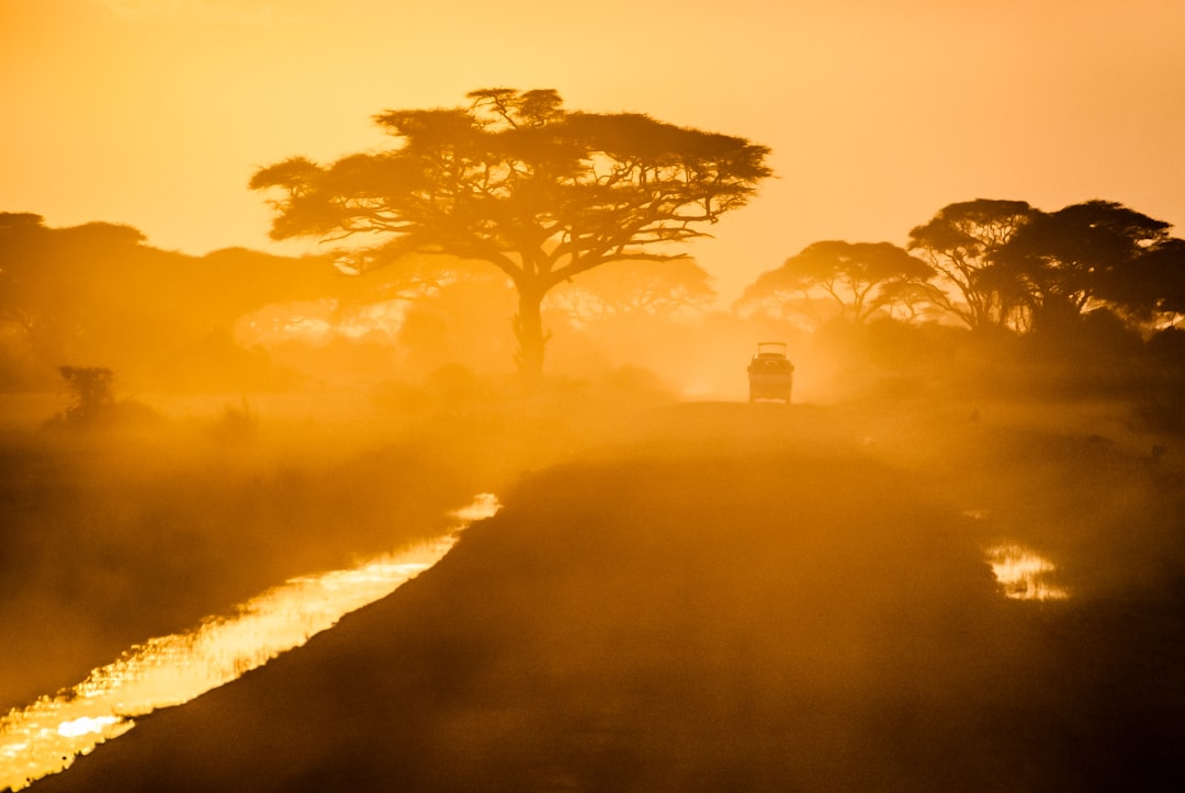 Unveiling Africa's Hidden Gems: A Journey Beyond Safari